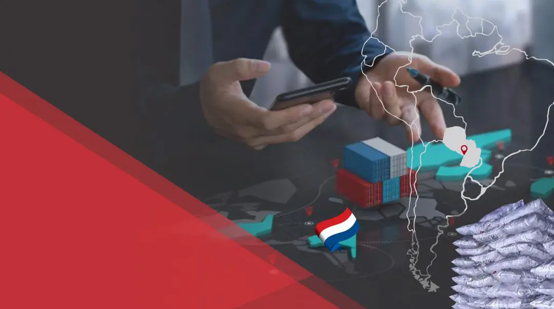 Del Paraguay al mundo